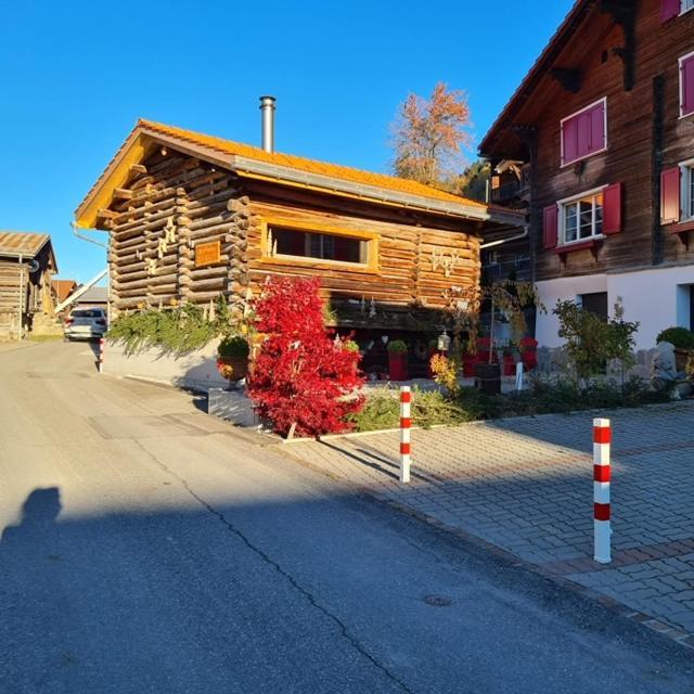 Chesa Prema Bed & Breakfast - Restaurant Disentis Buitenkant foto