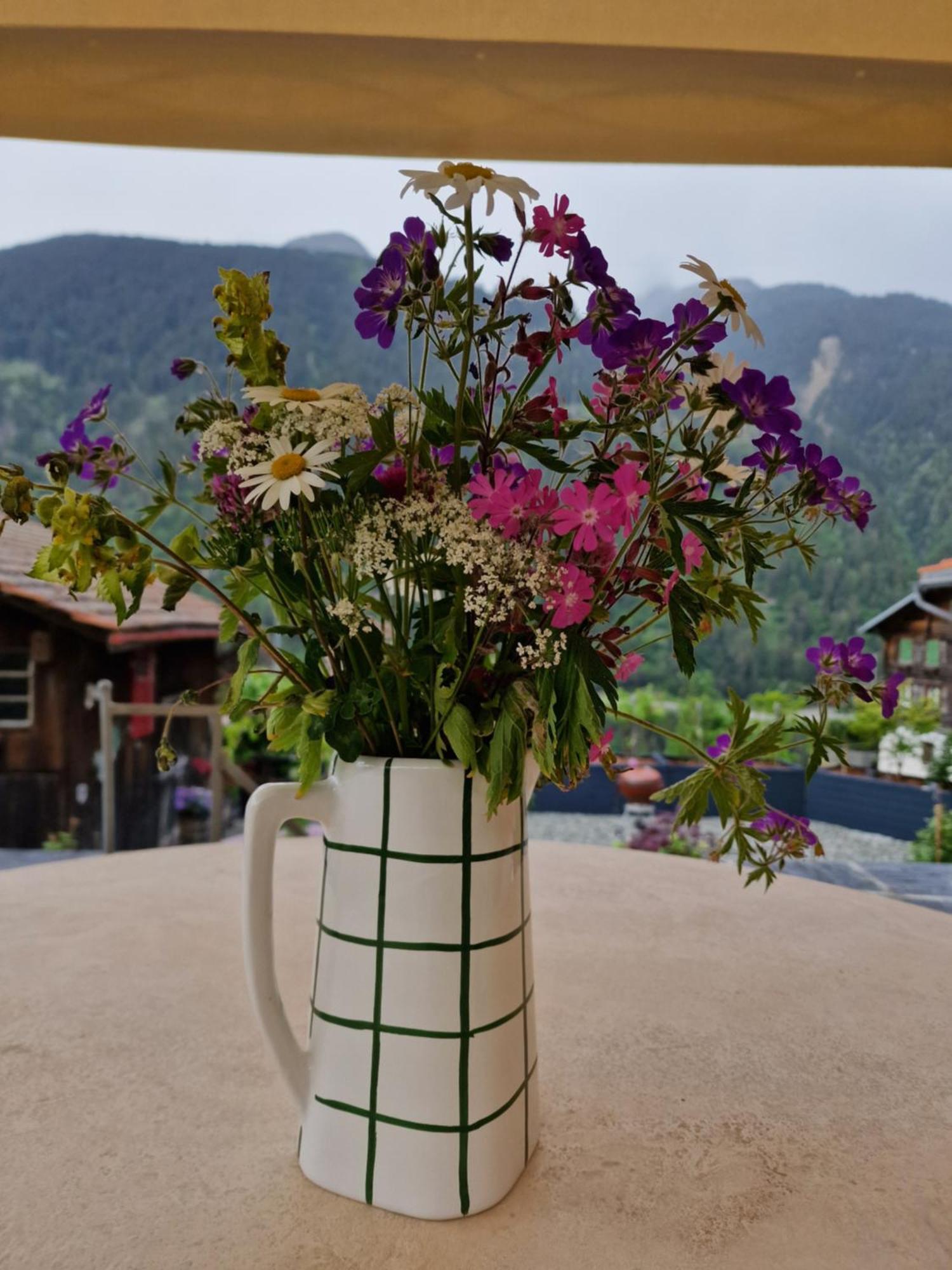 Chesa Prema Bed & Breakfast - Restaurant Disentis Buitenkant foto